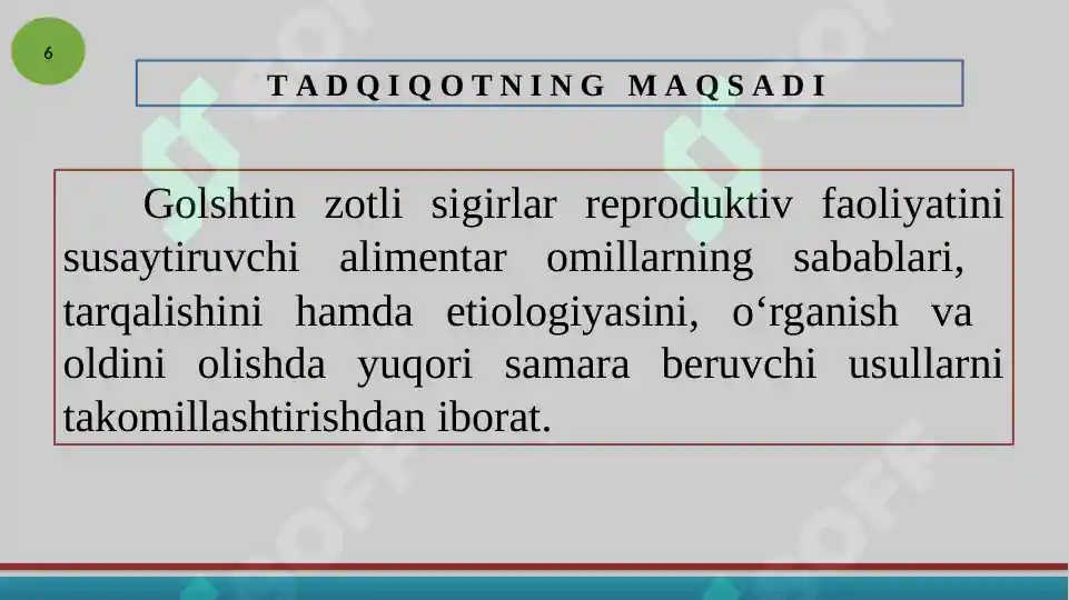 Product slide 6