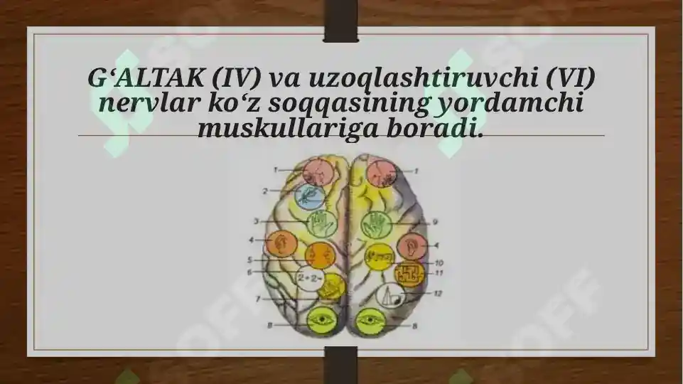 Product slide 6