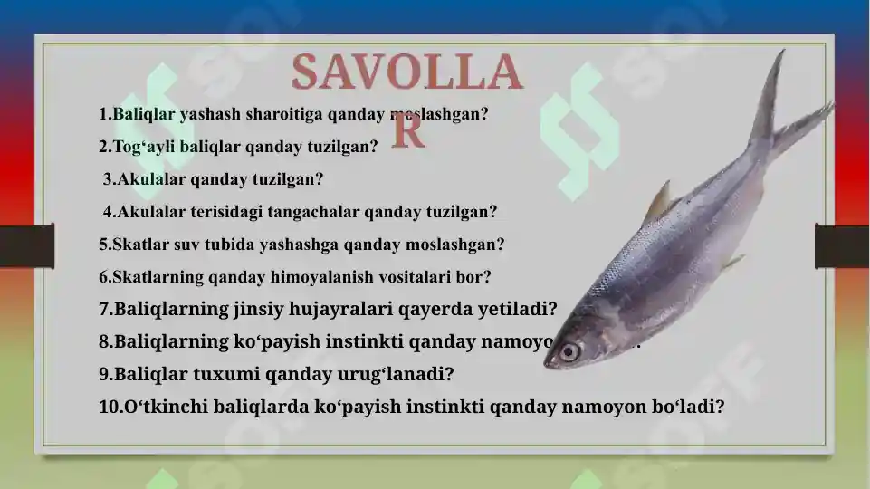 Product slide 7