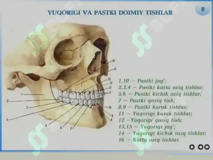 Product slide 8