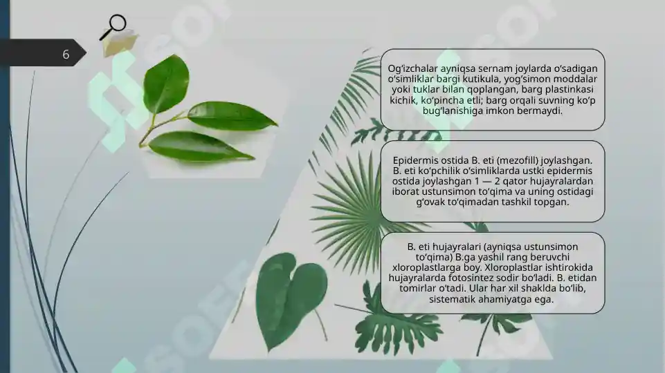Product slide 6