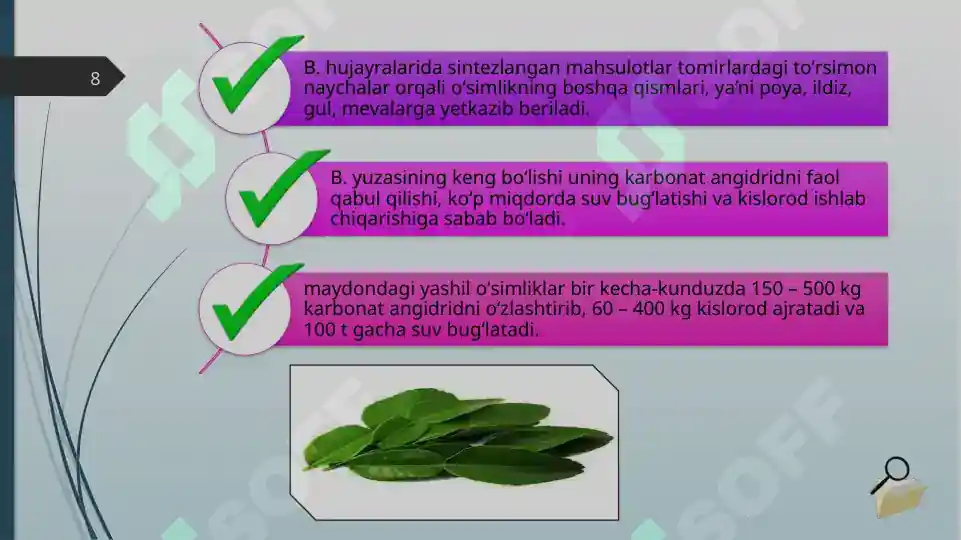 Product slide 8