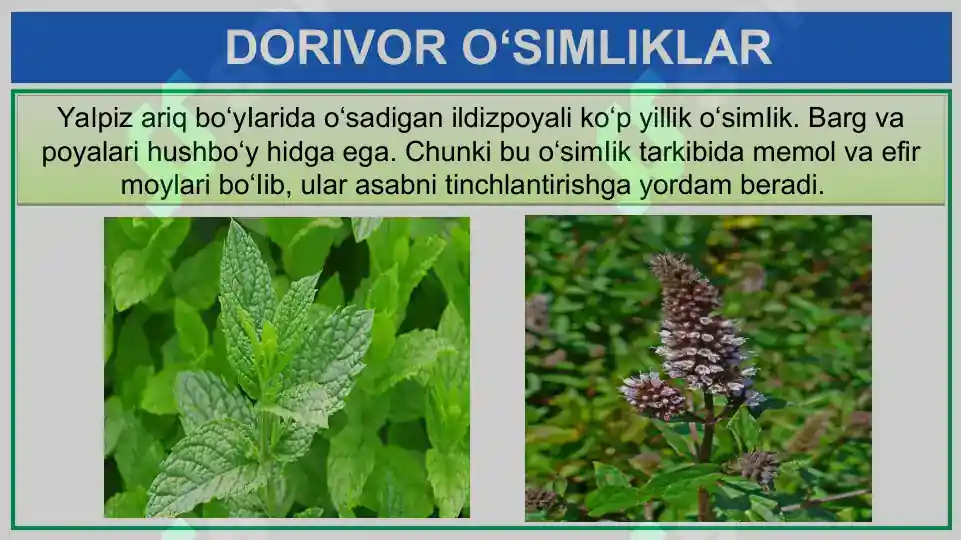 Product slide 6