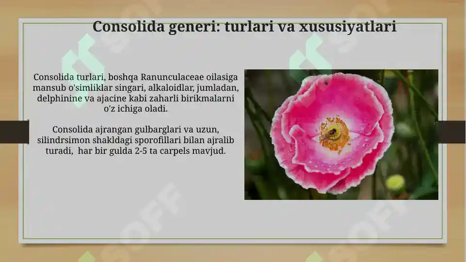 Product slide 6