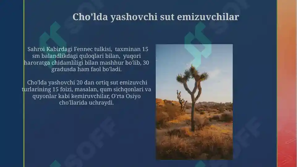 Product slide 5