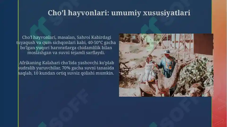 Product slide 7