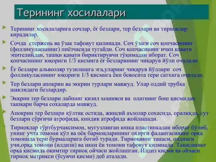 Product slide 8