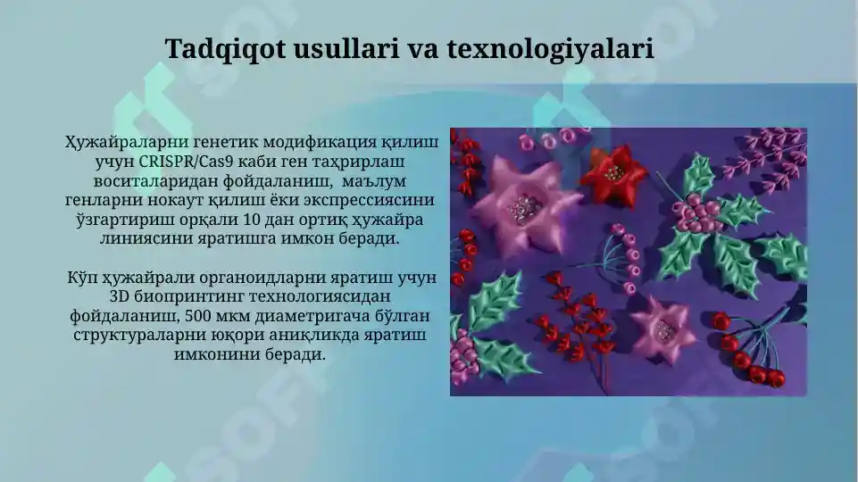 Product slide 8