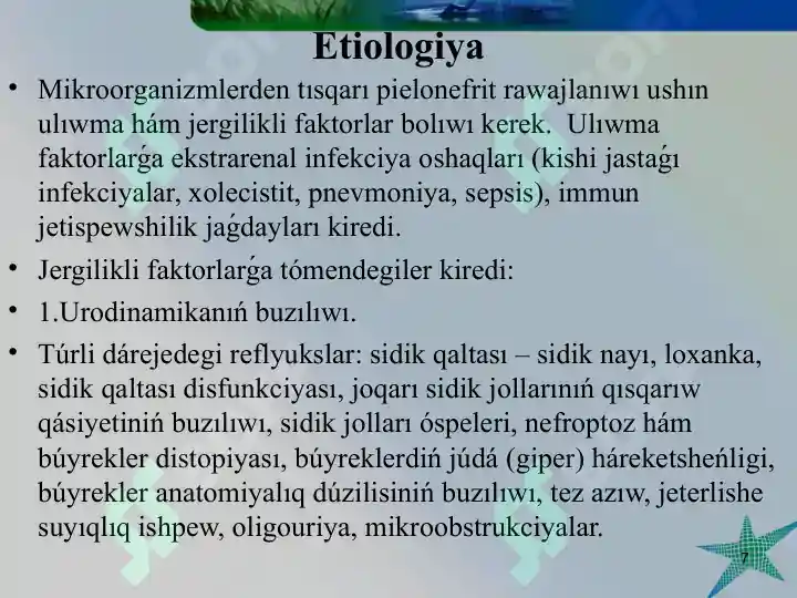 Product slide 7