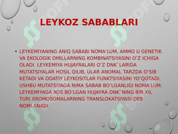 Product slide 7