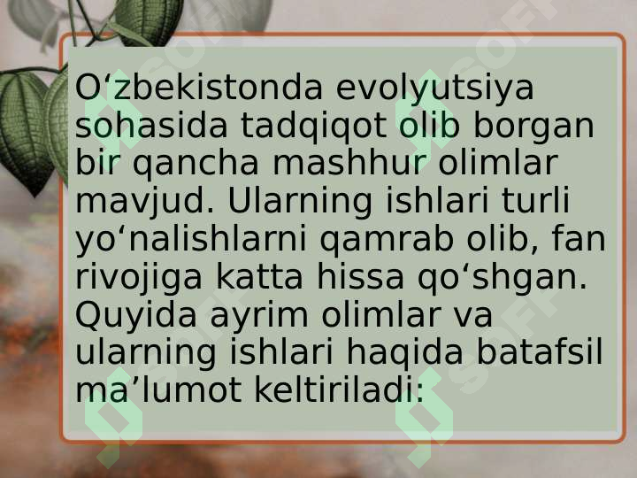 Product slide 6