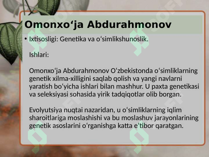 Product slide 7