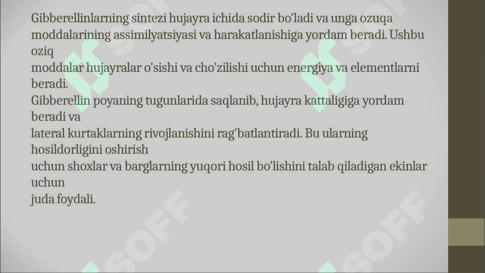 Product slide 8