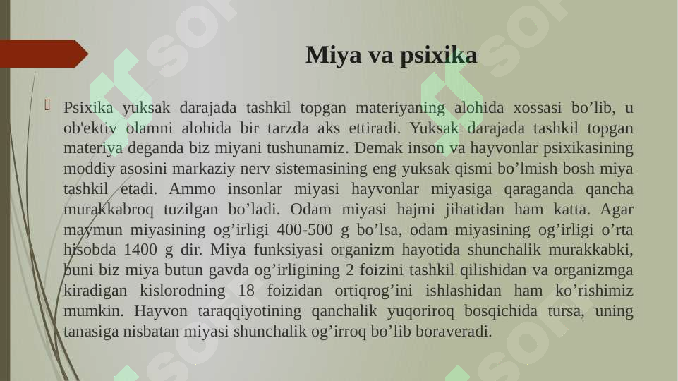 Product slide 5