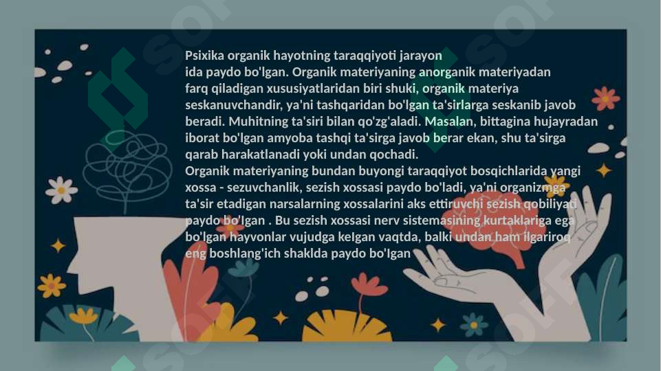 Product slide 5