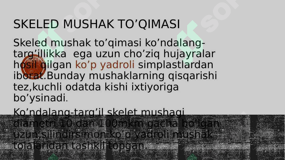Product slide 6