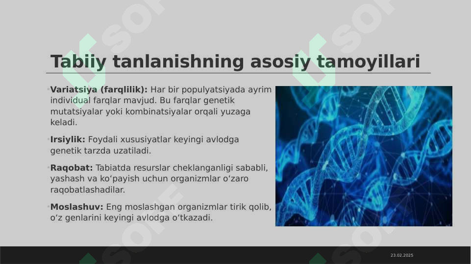 Product slide 5