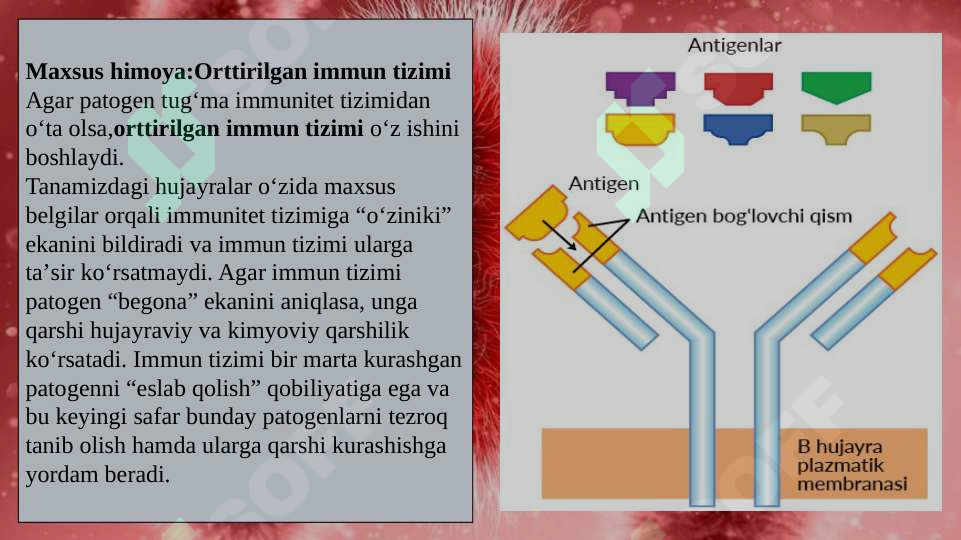 Product slide 8