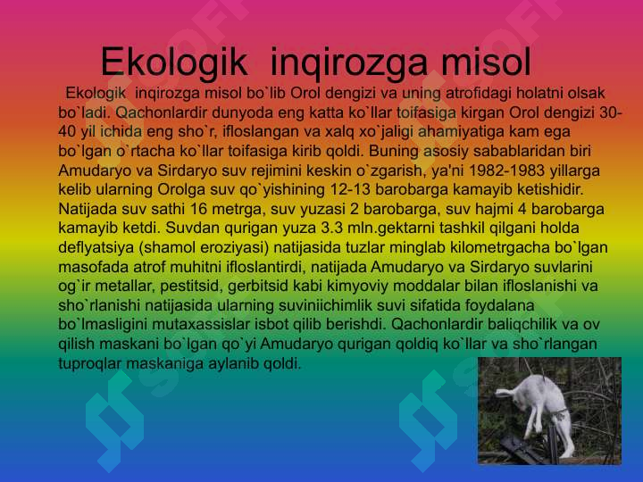 Product slide 5