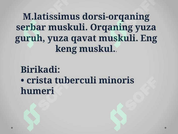 Product slide 6