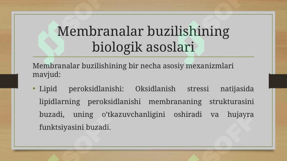 Product slide 6