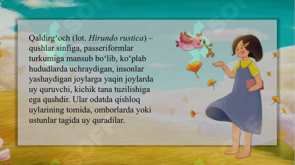 Product slide 8