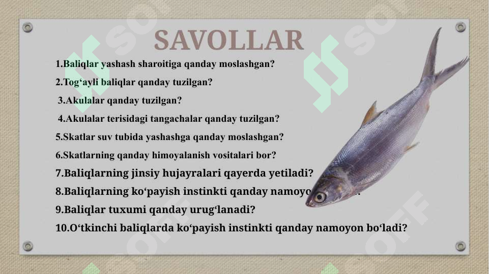 Product slide 7