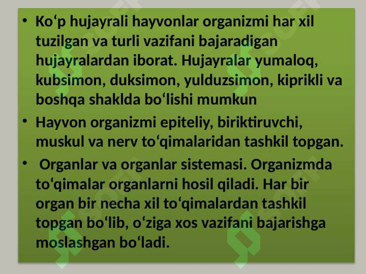 Product slide 7