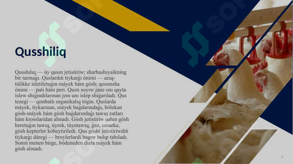Product slide 4