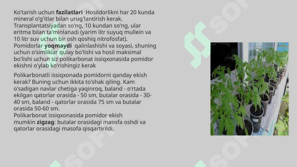 Product slide 7