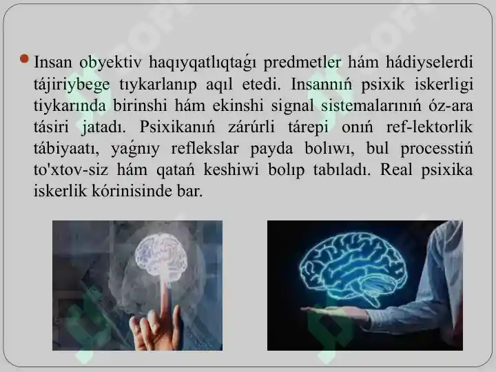 Product slide 7