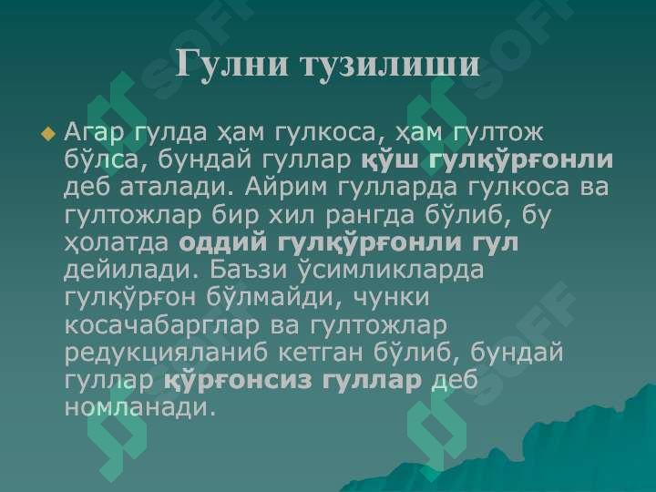 Product slide 5