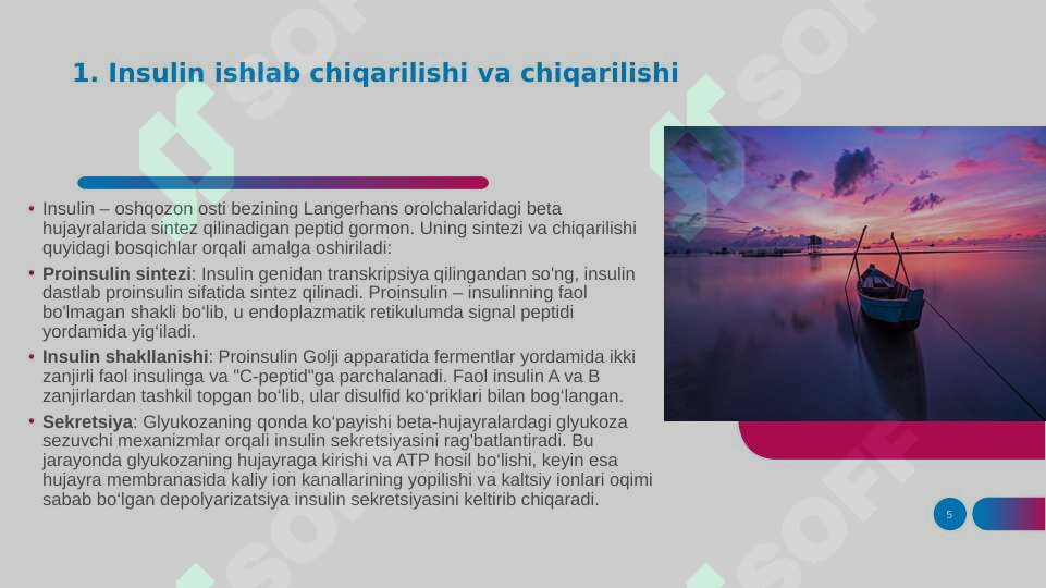 Product slide 5