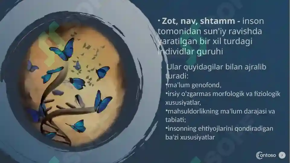 Product slide 7