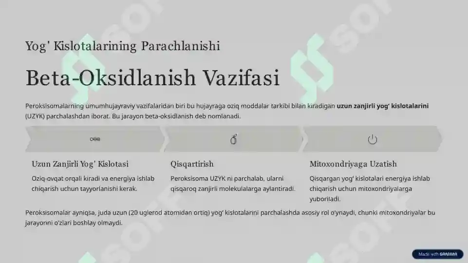 Product slide 7