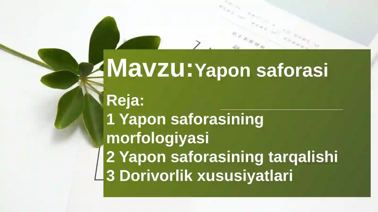 Product slide 2
