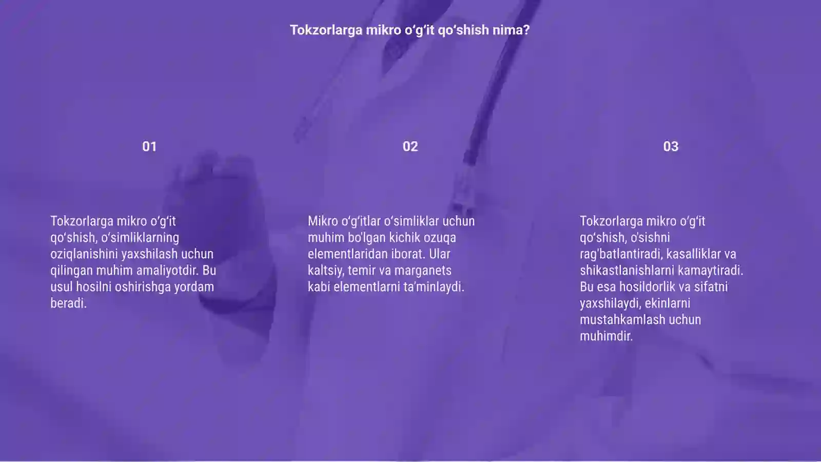 Product slide 3