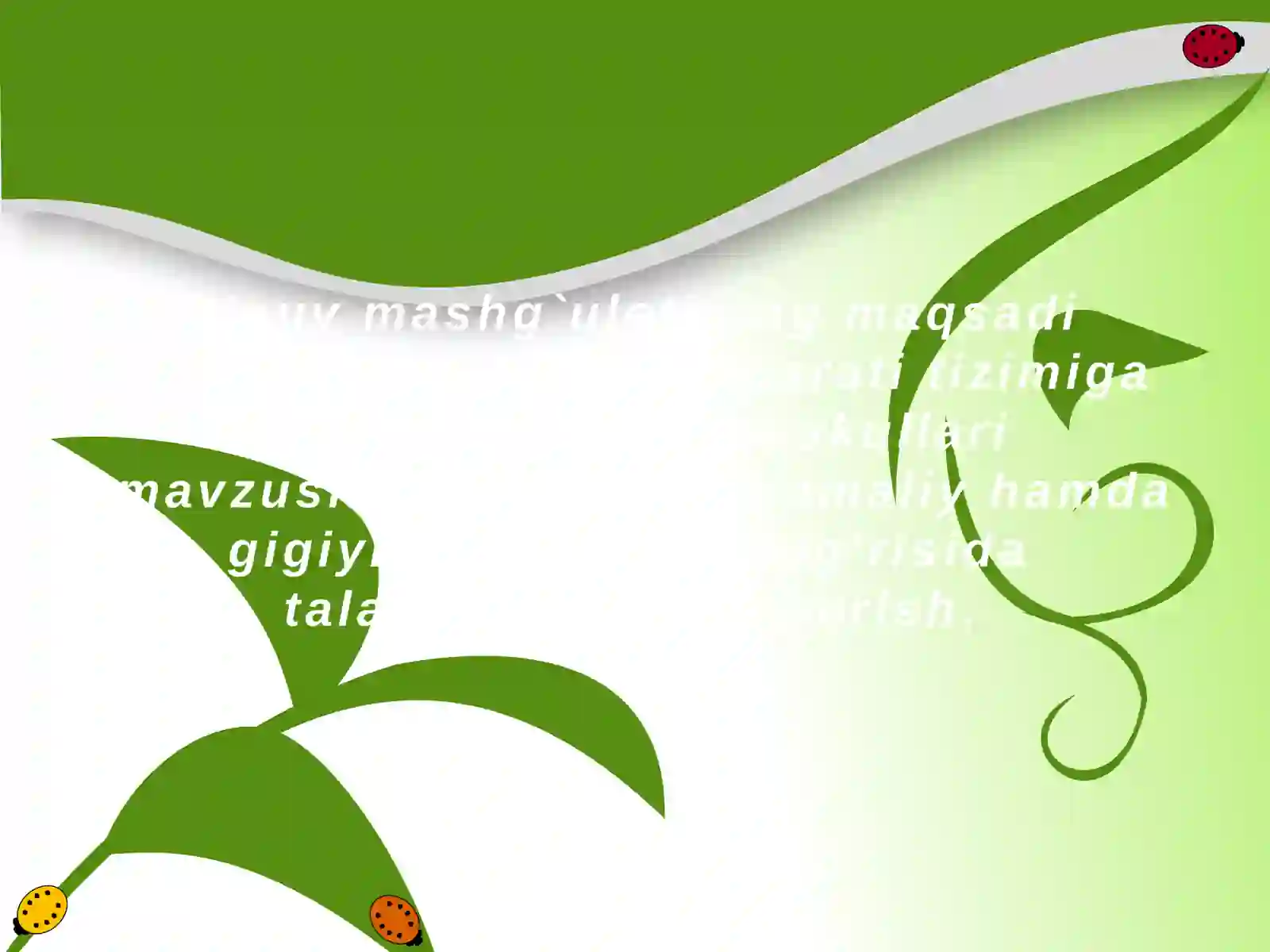 Product slide 3