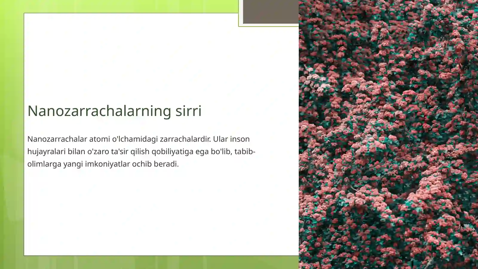 Product slide 3