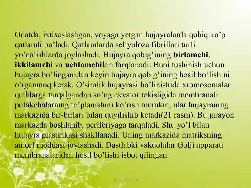 Product slide 4
