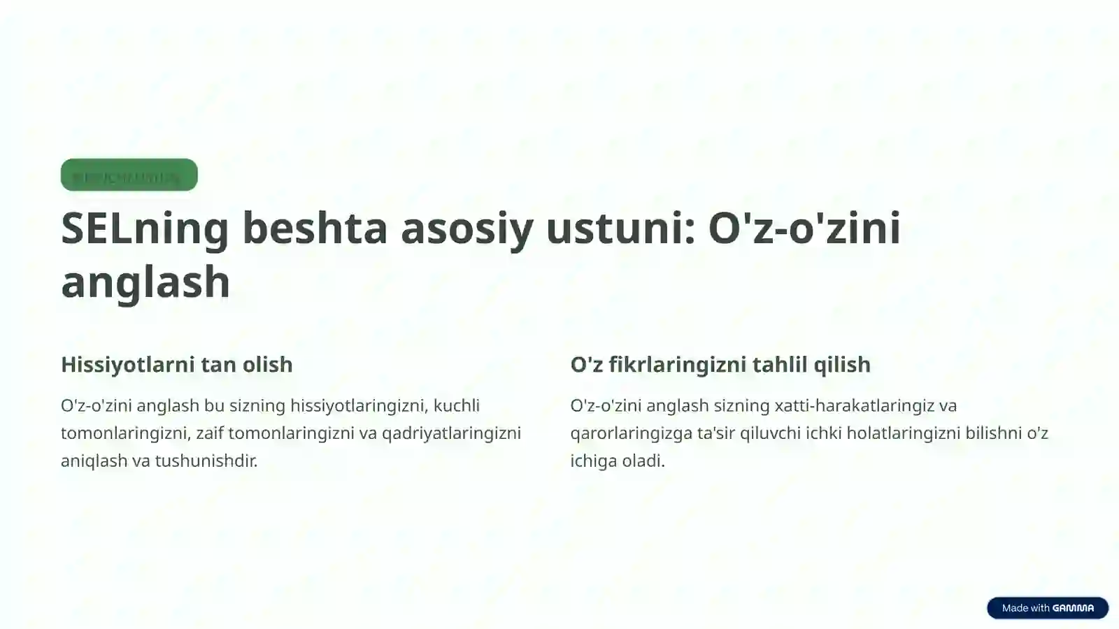 Product slide 4