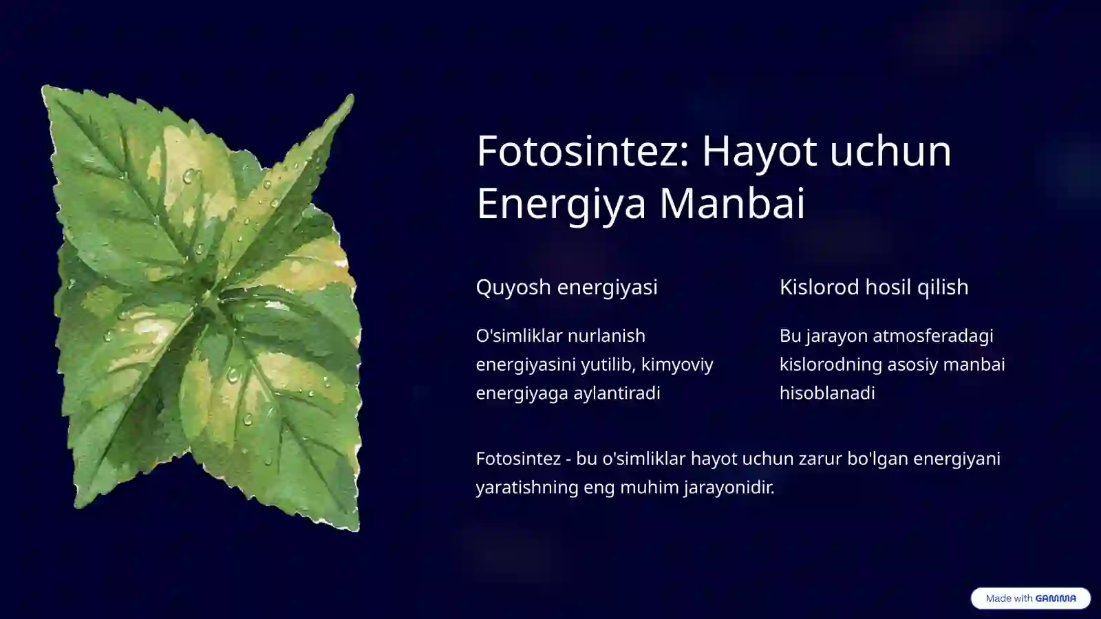 Product slide 4