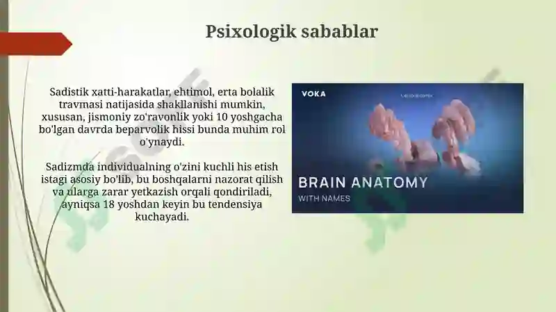 Product slide 7